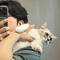 헌일(Hunil)
