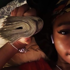 𝒯𝓇𝒶𝓅 𝒫𝓇𝒾𝓃𝒸𝑒𝓈𝓈🖤