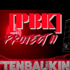 PLATTENBAUKIND PROJECT II