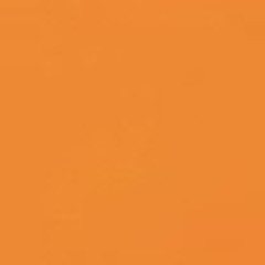 Guillermo Ayala Samaniego