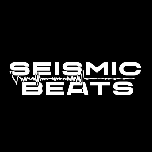 Seismic Beats’s avatar