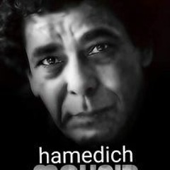 Hamedic Elsaed