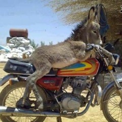 sgron (sound of motorbike)