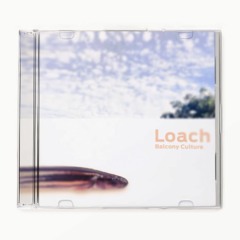 Loach