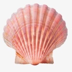 23456