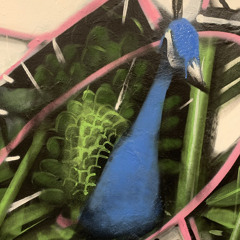 Peacock Bungalow