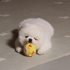 KimGeeon. South Korea