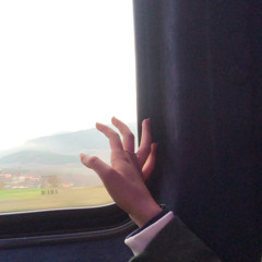 Wedad.