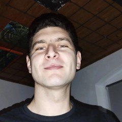 Med Aziz Sassi