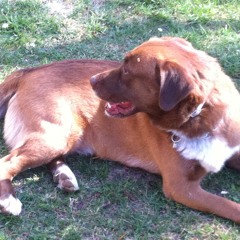 Manuel ÁLVAREZ SALDAÑA