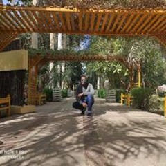 Sherif Yassin