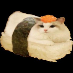 hauko