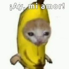 Ay, mi amor