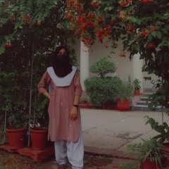 Jannat Najib