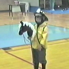 Wilderness of Mirrors