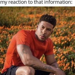 hello vro