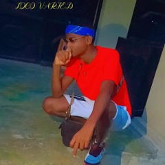Loco Varied