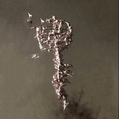 𝔖𝔱𝔢𝔣𝔞𝔫𝔫𝔱𝔰