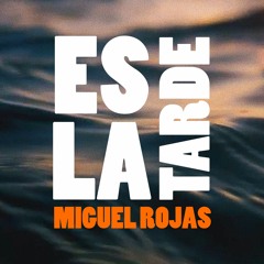 Miguel Rojas H