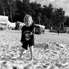 i’m sorry you were born a fly