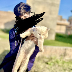 X Rauf