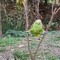 vitor0827