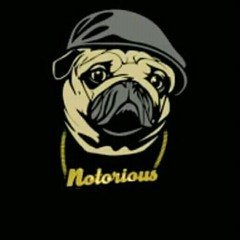 Notorious