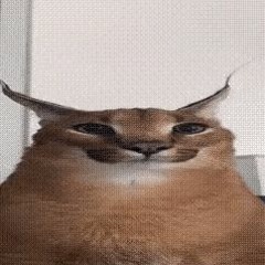 JeMqi
