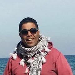 محمد المصرى عساف