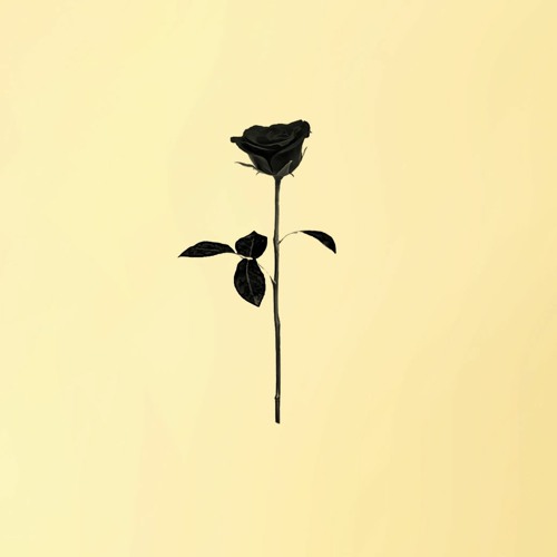 Black Rose Rec.’s avatar