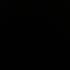 user_41