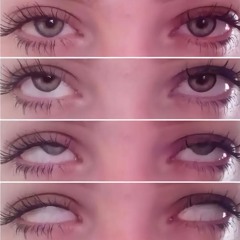 Ludina