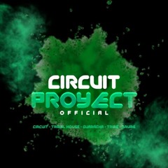 Circuit Proyect Offcial