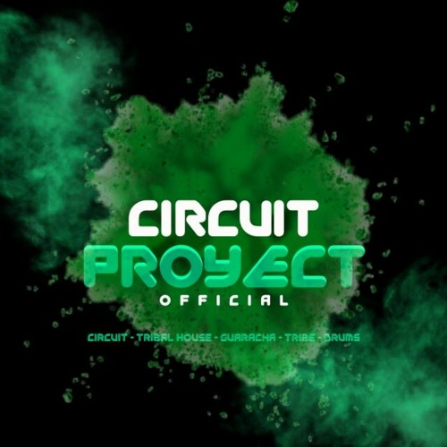Circuit Proyect Offcial’s avatar