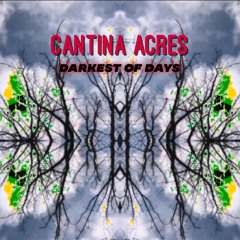 Cantina Acres