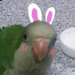 최유능