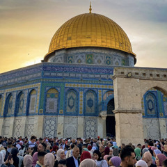 Lara Abu Khalil
