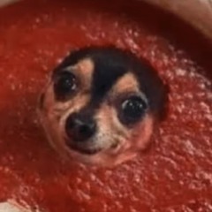 saucepupper