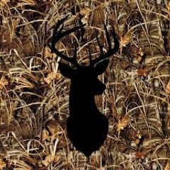 forestcamo