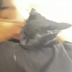 itadorito