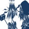 ‎ ‎ycqln