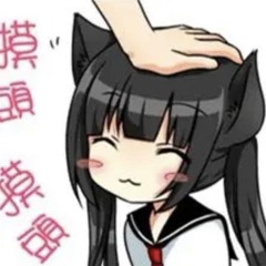 kitty