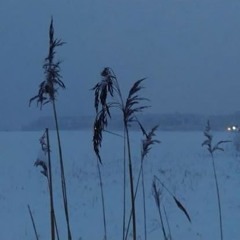 snowdancers