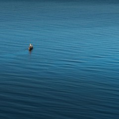 Slowly Drifting