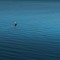Slowly Drifting