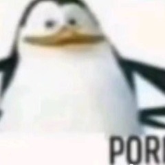 p@Dr1Ck