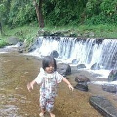 AlfaroGafril