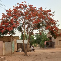وُعَيْدَة❤️