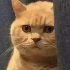 Francesca Pedreschi Elias