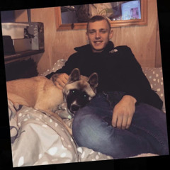 Wuggypalmer